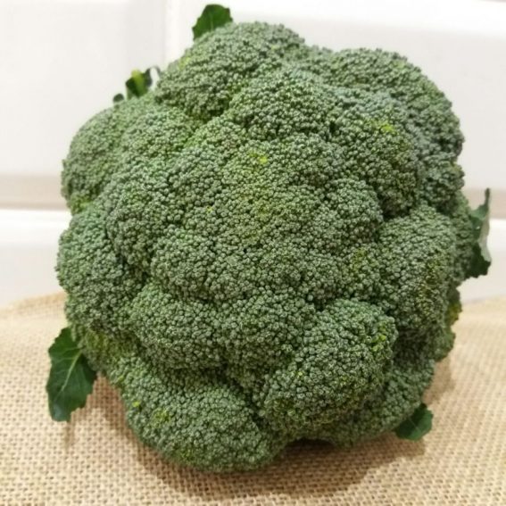 Brócoli Ecológico Natural Gourmet