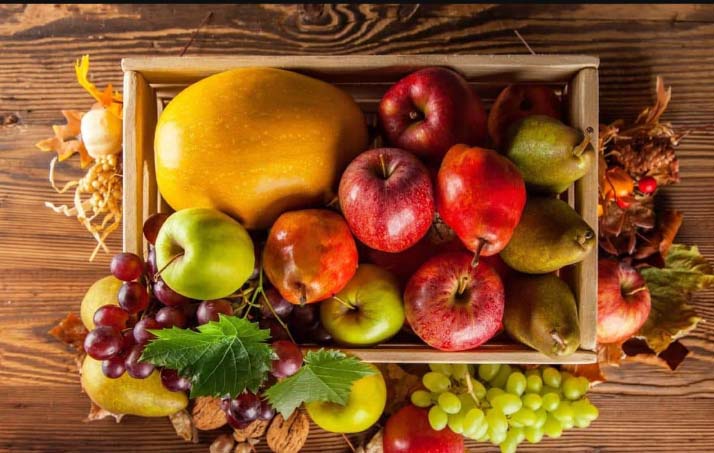 HUERTA-ECOLOGICA-NATURAL-GOURMET-4