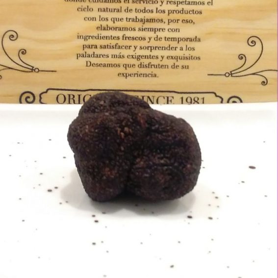 trufa-negra-de-teruel-3