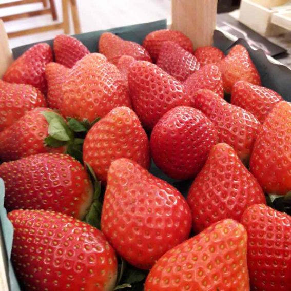 fresón de huelva ecológico