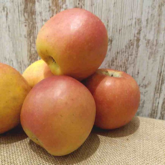 manzana fuji ecologica