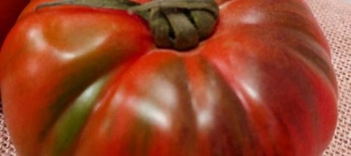 El tomate y la salud