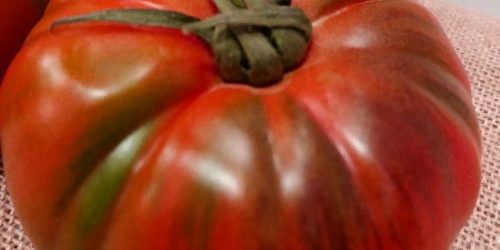 tomate-y-Salud-1 El tomate y la salud