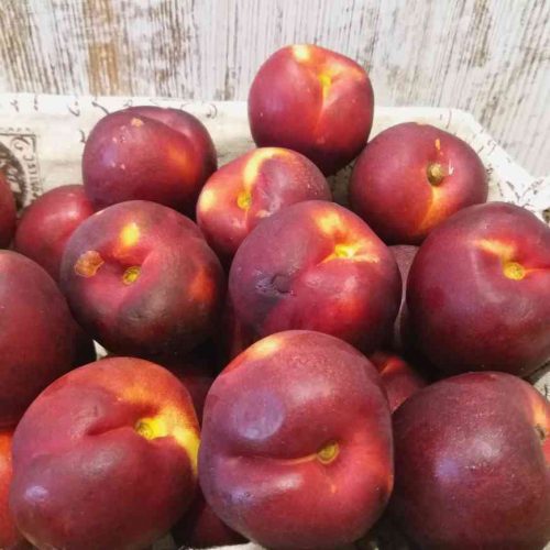 Nectarina Ecológica