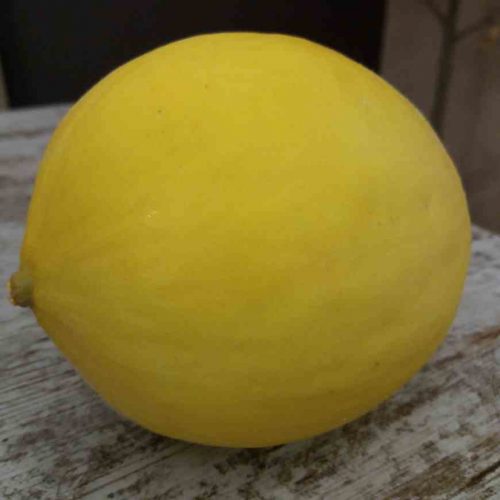 Melón Amarillo Ecológico