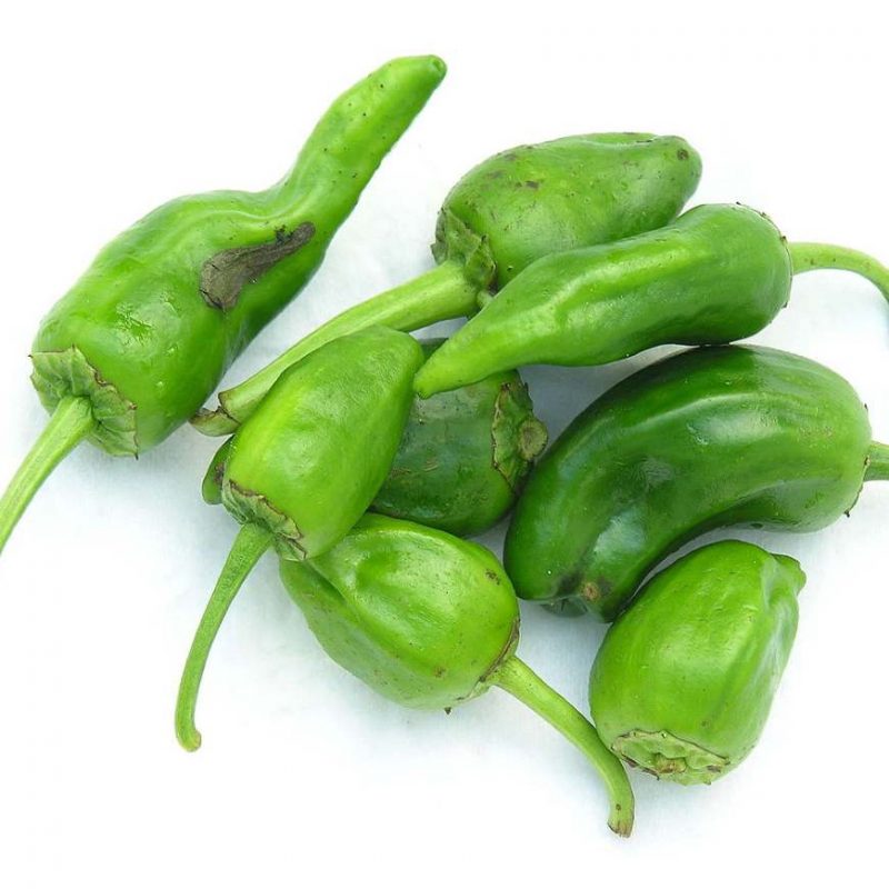 Pimiento de Padrón