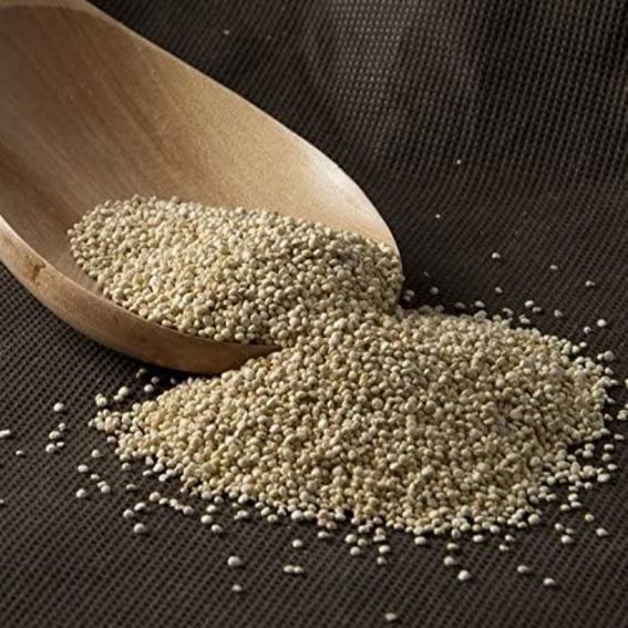 Quinoa Ecológica