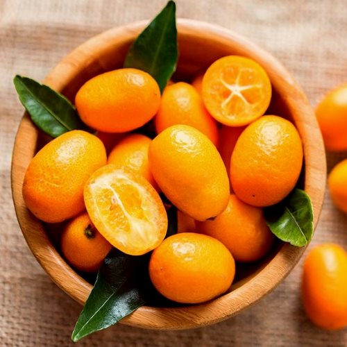 Kumquat Ecológico