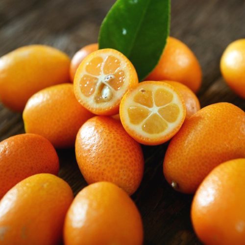 Kumquat Ecológico