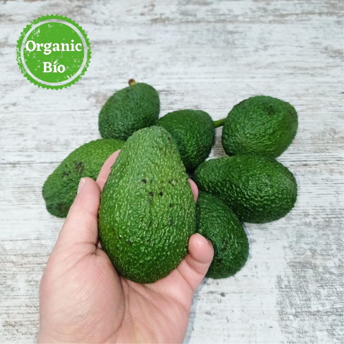 Aguacate Hass Ecológico (Kg)