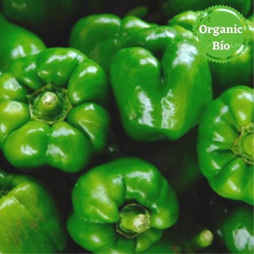 Pimiento California Verde Ecológico